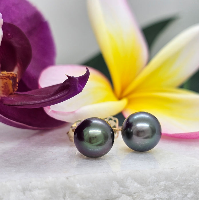 Tahitian Pearl Studs