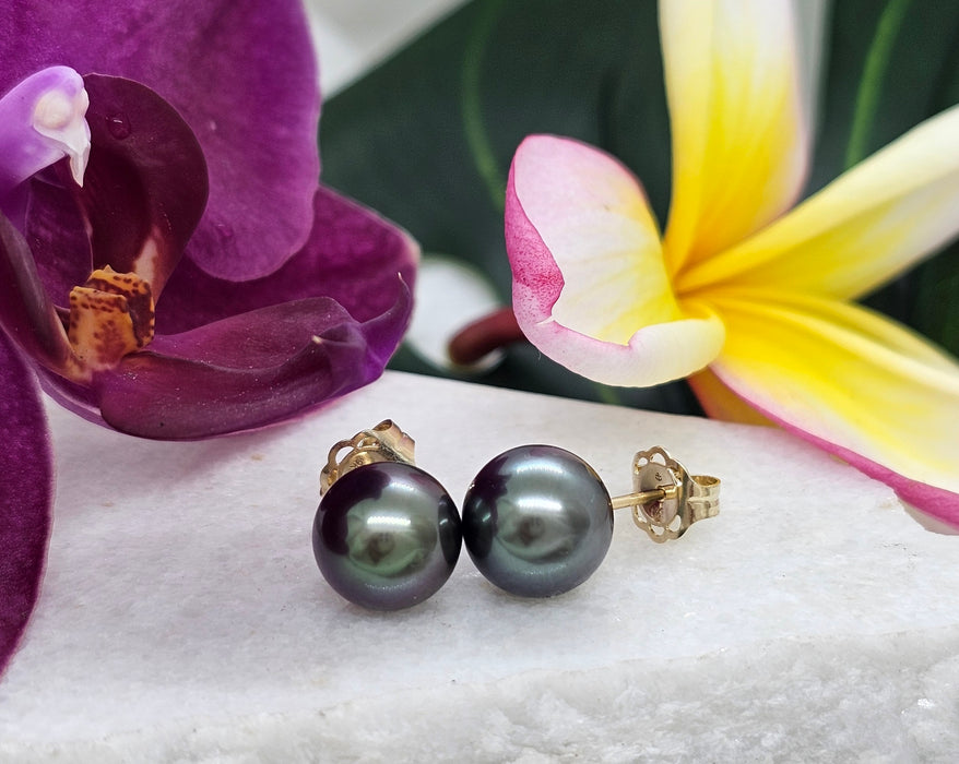 Tahitian Pearl Studs